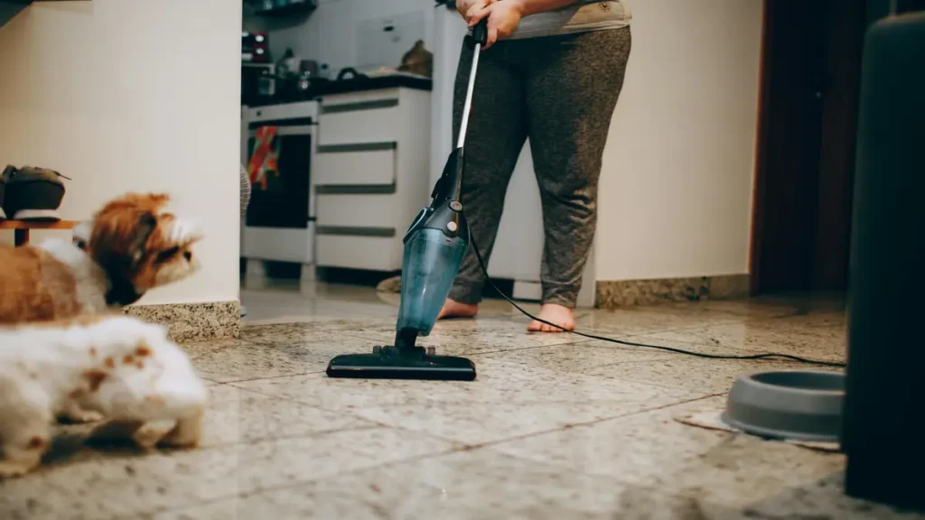 Reduce Dust and Allergies