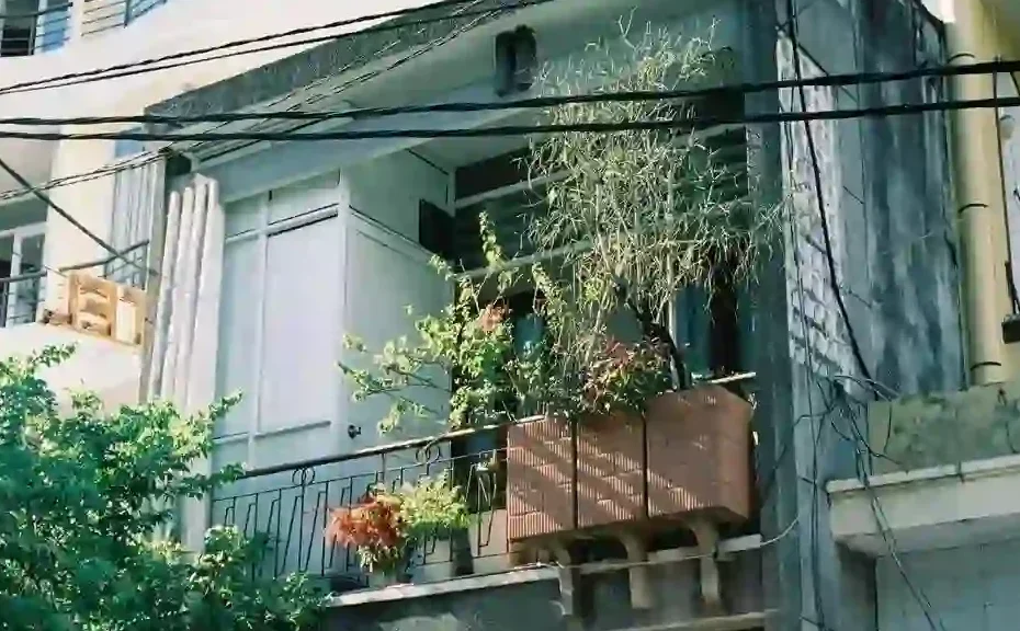 Creative Balcony Garden Ideas