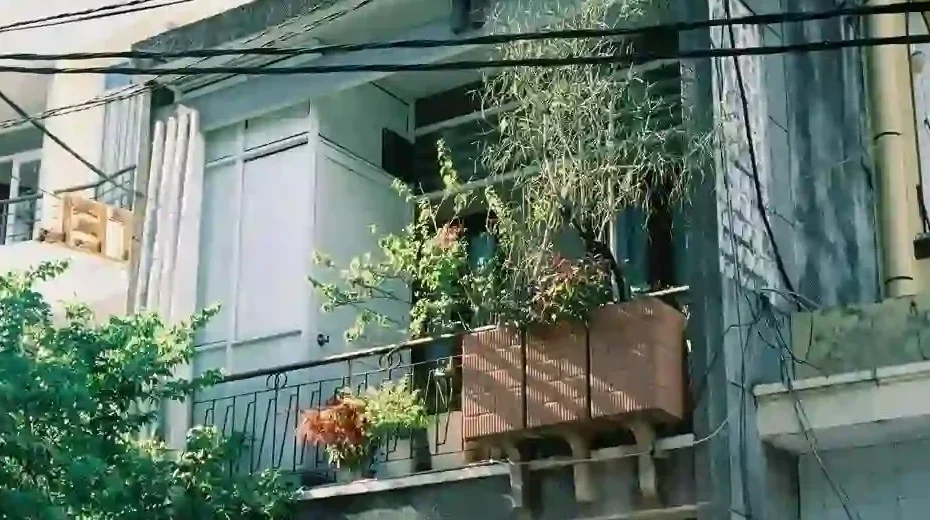 Creative Balcony Garden Ideas