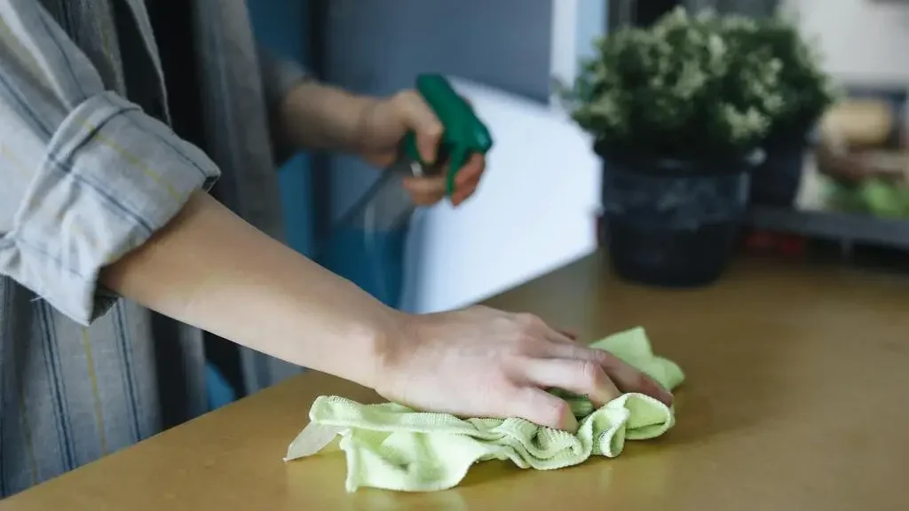 Cleaning Tips