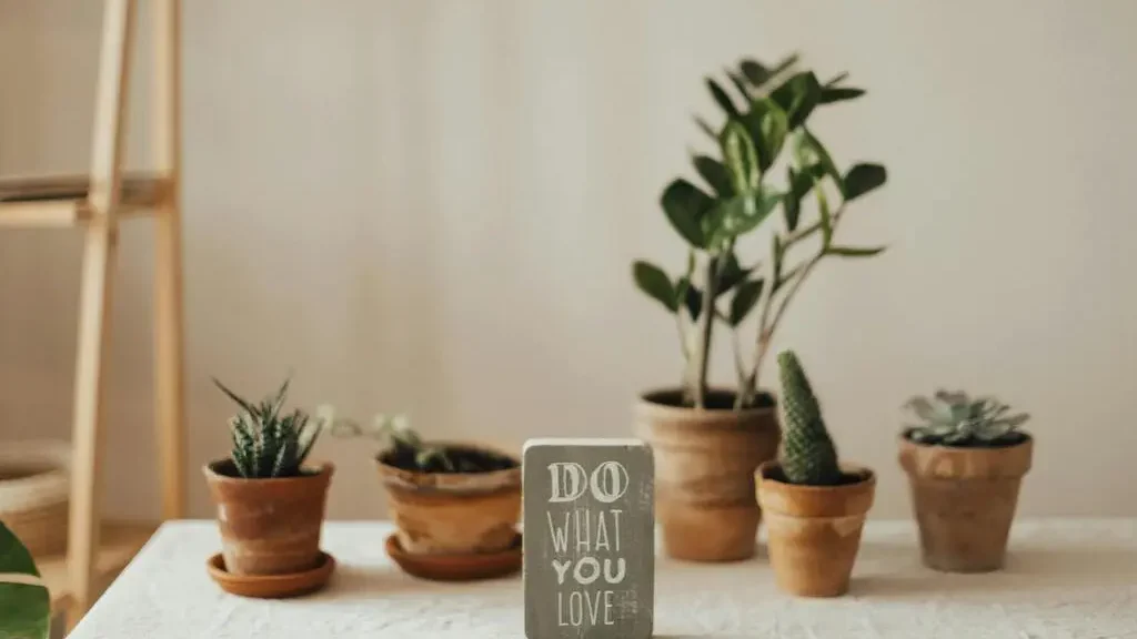Personalized gardening decor