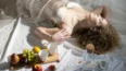 Romanticize Your Life