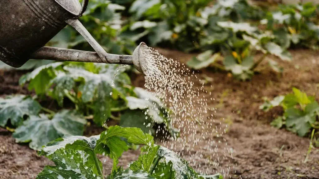 Smart Gardening Basics for Beginners: Start Your Garden 1 Smart Gardening Basics for Beginners