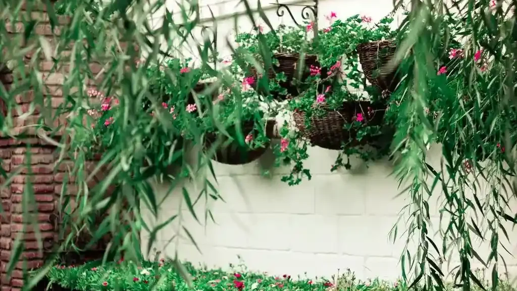 Vertical gardening